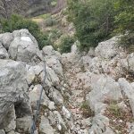 WhatsApp Image 2025-12-17 at 09.04.31 (1)