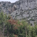 WhatsApp Image 2025-12-17 at 09.04.31 (2)