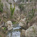 WhatsApp Image 2025-12-17 at 09.04.31 (3)